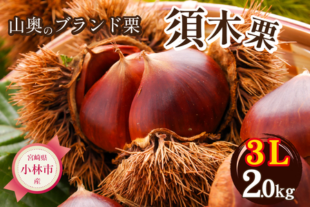 【山奥のブランド栗】大粒すきすき須木栗 3L サイズ以上 2kg（生栗 マロン くり 甘露煮 栗ご飯 限定）