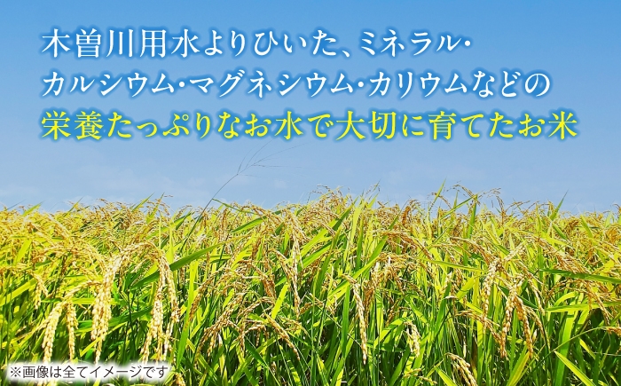 米 お米 20kg 20キロ 白米 精米 愛知県産 国産 あいちのかおり
