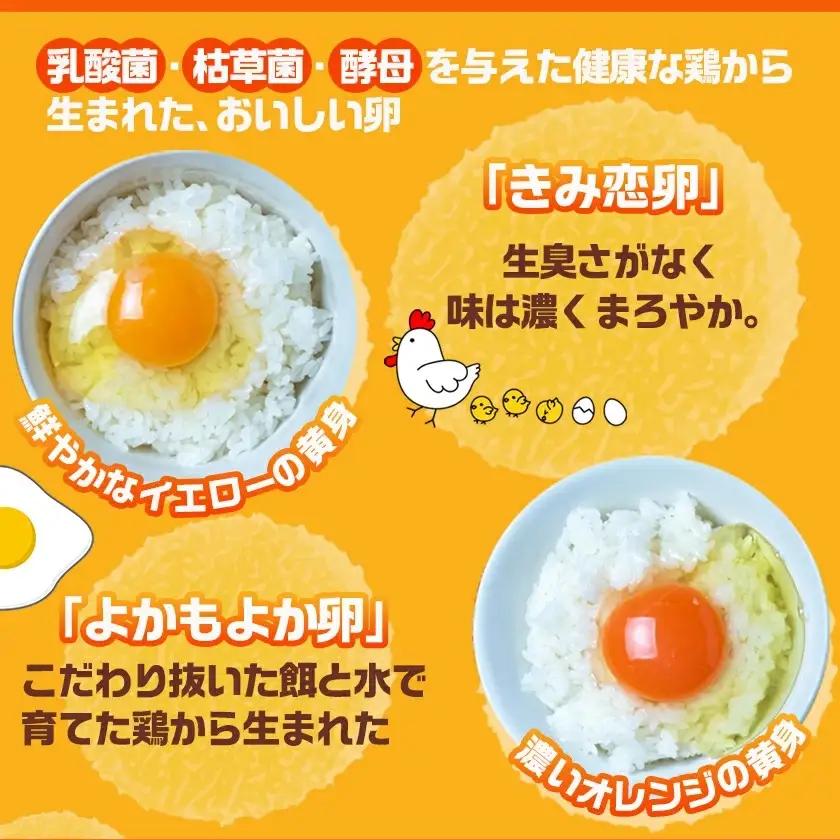 「きみ恋卵」と「よかもよか卵」のたまごかけご飯セット〔AO-29-002〕_(都城市) きみ恋卵 よかもよか卵 Ｍサイズ たまごかけご飯専用醤油「玉子ちゃん」 甘口 卵かけご飯 朝ごはん 朝食