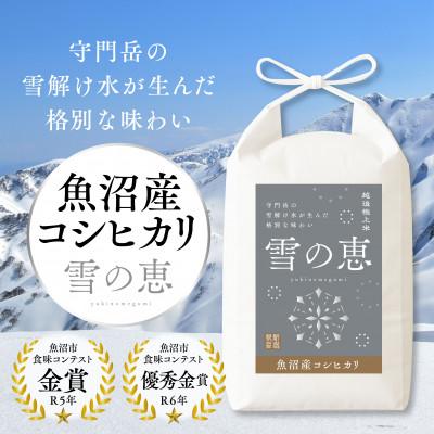 ふるさと納税 魚沼市 令和7年産　魚沼産コシヒカリ『雪の恵』(精米)　5kg