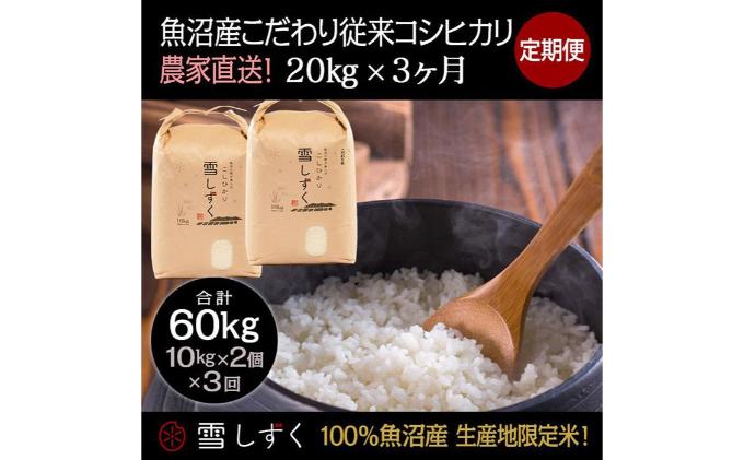 【令和7年産】定期便！魚沼産こだわり従来コシヒカリ【合計60kg】毎月20kg×3回 ブランド米 銘柄米 白米 精米 ご飯 おにぎり お弁当 