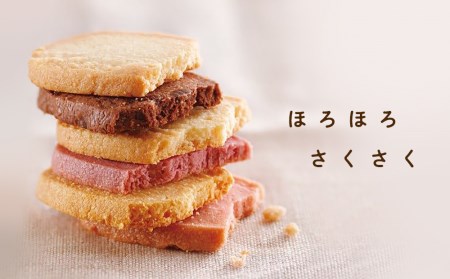 クッキー 36枚 詰め合わせ スイーツ 北海道 千歳 プレゼント ギフト 手土産 銘菓《北海道千歳市 もりもと》