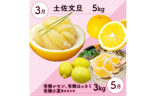 定期便 6回 6ヶ月 果物 ぽんかん 土佐 文旦 レモン はっさく 小夏 ジュース 温州 みかん オーガニック 無農薬 防腐剤 不使用 高知県 須崎市 柑橘 蜜柑 オレンジ フルーツ 果物 お取り寄せ 頒布会 家庭用