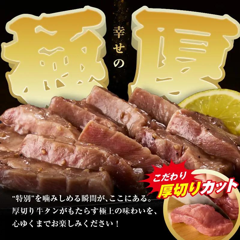 【訳あり】贅沢！やわらか！至福の時間！！厚切り塩だれ牛タン！！500g（250g×2パック） | 牛タン