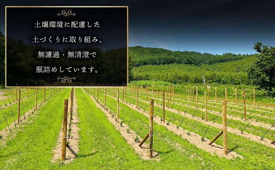 オレンジワイン 山麓のアンバー Pinot Gris 2024