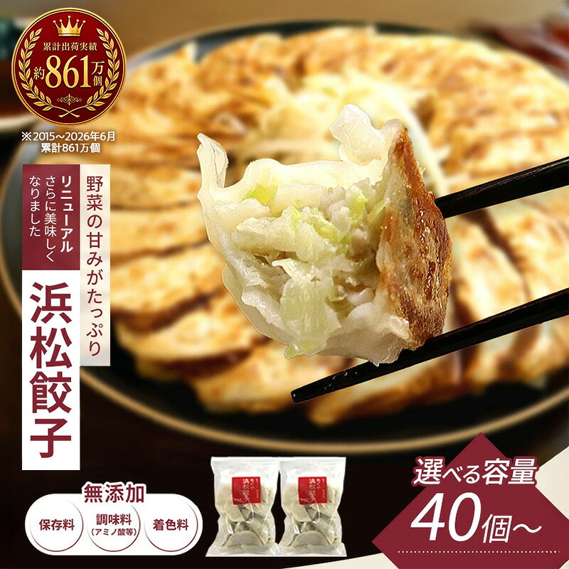 知久屋 浜松餃子たっぷりセット 100個 無添加ぎょうざ