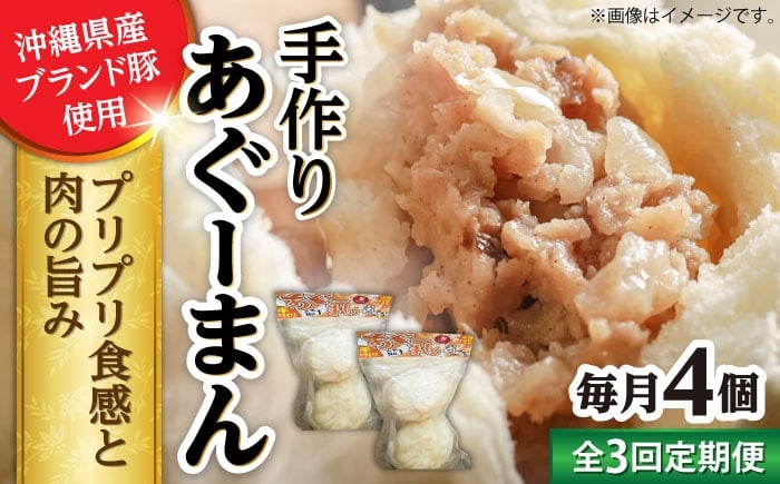 
            【全3回定期便】あぐーまん 4個入り (2個入り×2P) 肉まん 豚まん 点心 お取り寄せ 冷凍 沖縄市 / 豚々茶舗 [BCBL017]
          