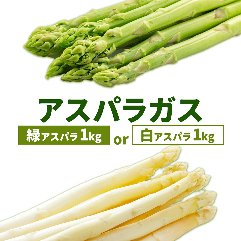 【ふるさと納税】アスパラガス 選べる グリーン ホワイト 春アスパラ 夏アスパラ 1束 100g 10束 高橋商店《選べる出荷時期》熊本県 苓北町 野菜 アスパラ アスパラベーコン