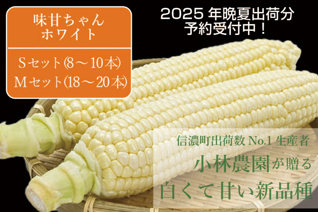 
            2025年夏の予約受付開始！小林農園の白くて甘いとうもろこし『味甘ちゃんホワイト（みかんちゃんほわいと）』4kg（8～10本）/ 9kg（18～20本）9月上旬～9月下旬出荷【長野県信濃町】
          