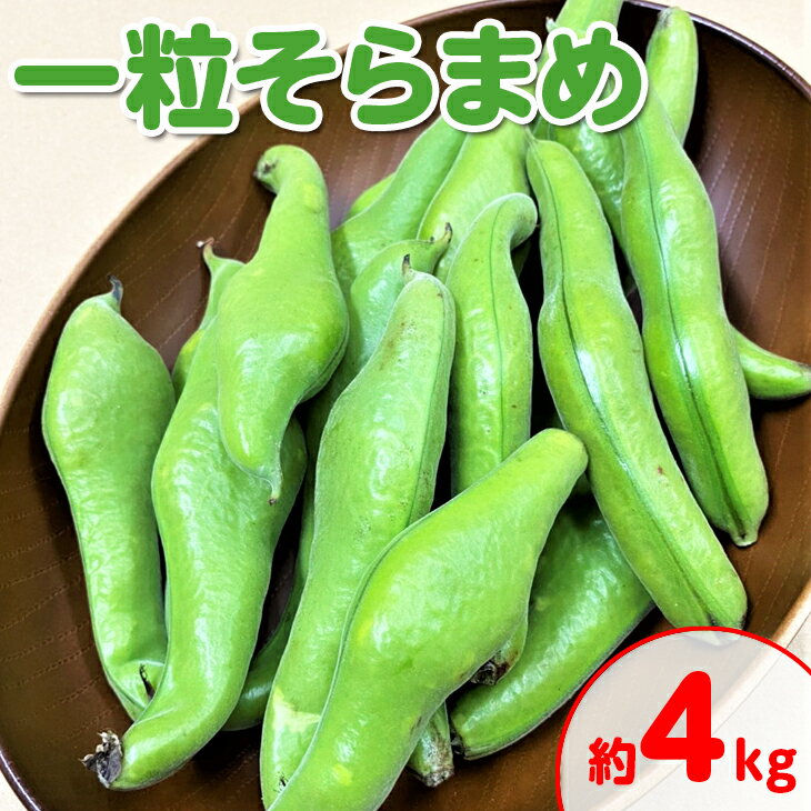 【ふるさと納税】＜先行予約！2026年5月上旬以降順次発送予定＞一粒そらまめ(約4kg)国産 野菜 そら豆 ソラマメ 豆 産地直送 新鮮 冷蔵便 【man102】【Aglio nero】