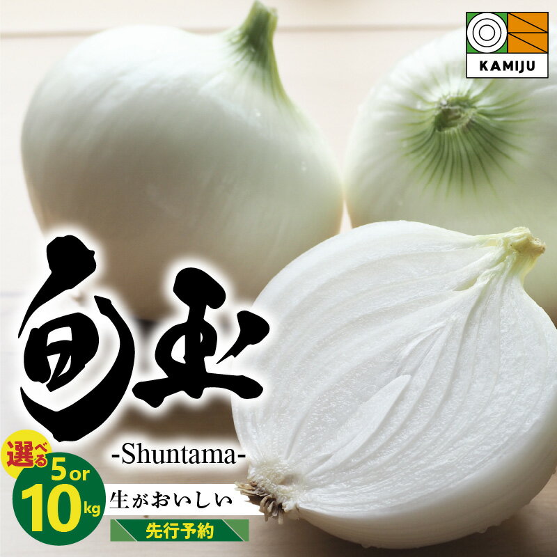 【ふるさと納税】2026年発送 高評価☆5.00 新玉ねぎ 旬玉 選べる容量 5kg 10kg とにかく甘い サイズ 混合 農場 神重農産 ブランド玉ねぎ 生がおいしい フレッシュ みずみずしい ミネラル 玉ねぎ オニオン 野菜 スライス サラダ 玉ねぎステーキ 愛知県 碧南市 送料無料