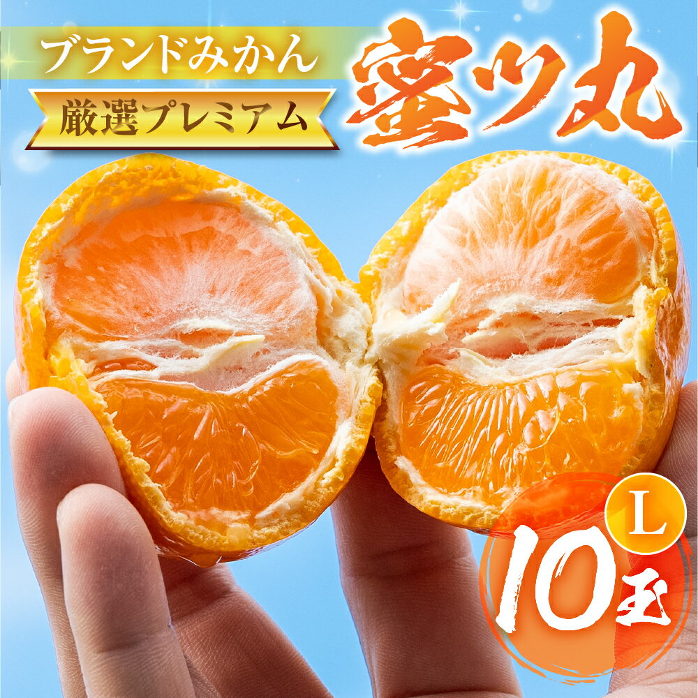 【ふるさと納税】≪先行予約≫こだわり蜜柑 蜜ツ丸 厳選プレミアム 黒の化粧箱 Lサイズ 10玉 みかん ミカン mikan 柑橘 柑橘類 フルーツ 果物 詰め合わせ 愛知県 豊橋市 マルカワ園芸