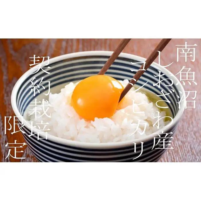 【令和7年産】【定期便２Kg×3ヶ月】契約栽培限定 南魚沼しおざわ産コシヒカリ【定期便 銘柄米 ブランド米 精米 こしひかり コシヒカリ 魚沼産 新潟米 産地直送 お米 米 こめ コメ ご飯 御飯 ご