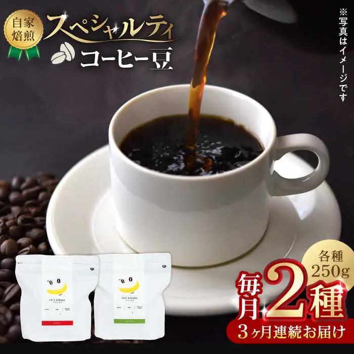 コーヒー[豆]3回定期 自家焙煎スペシャルティコーヒー豆(250g×2種)約40杯分ZCJ019
