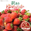 【ふるさと納税】【 訳あり 】 ゆめのか 苺 約3kg （250g×4パック×3箱）＜川原農園＞ [CDR006] いちご イチゴ 苺 果物 フルーツ 甘い ご家庭用 1kg 2kg 3kg