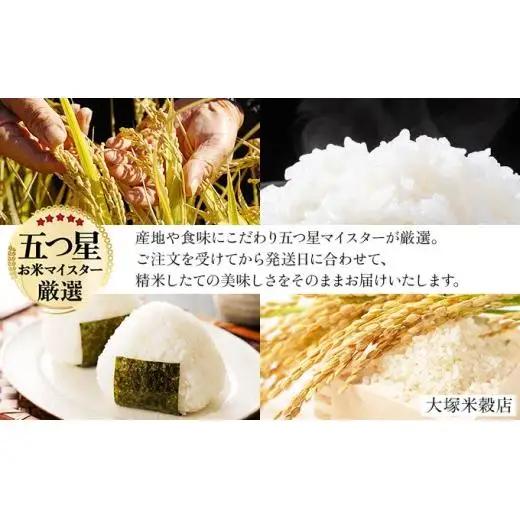 令和7年産【6回定期便】「白米食べ比べ」さがびより5㎏ 夢しずく5㎏