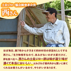 【ふるさと納税】＜土佐ジローの卵・焼き菓子セット・Ａ＞高知県　佐川町 シフォンケーキ　クッキー【常温】
