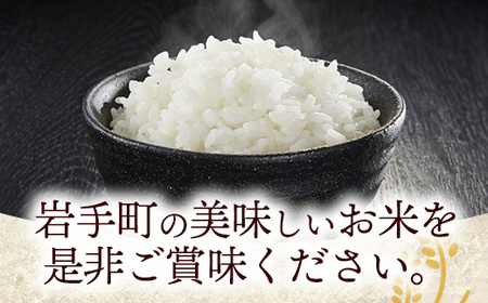令和7年産岩手町産銀河のしずく精米10kg 米 ごはん 新鮮 銘柄 農家直送