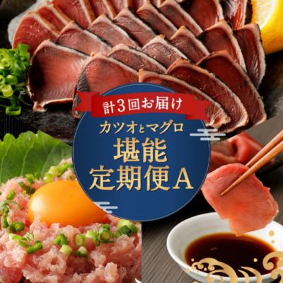 ふるさと納税 室戸市 &lt;3ヶ月連続&gt;カツオとマグロ堪能定期便A