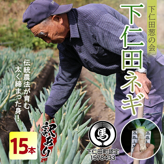 【ふるさと納税】訳あり（家庭用）下仁田葱の会の下仁田葱（Sサイズ 15本） とろける 甘い ねぎ ネギ 王様ねぎ 殿様ねぎ 特産 栄養たっぷり ブランド 上州ねぎ すきやき F21K-591