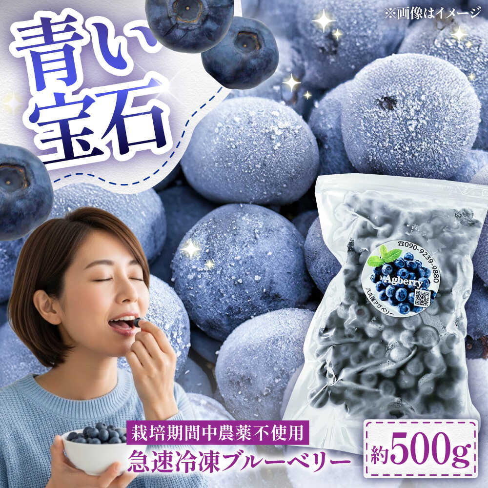 【ふるさと納税】青い宝石 国産 急速冷凍ブルーベリー 約500g / 冷凍ブルーベリー ブルーベリー 冷凍便 冷凍 果物 くだもの フルーツ 国産 ぶるーべりー 甘い 美容 送料無料 アントシアニン ビタミンE熊本県 菊陽町【アグファーム株式会社】[BHCX004]