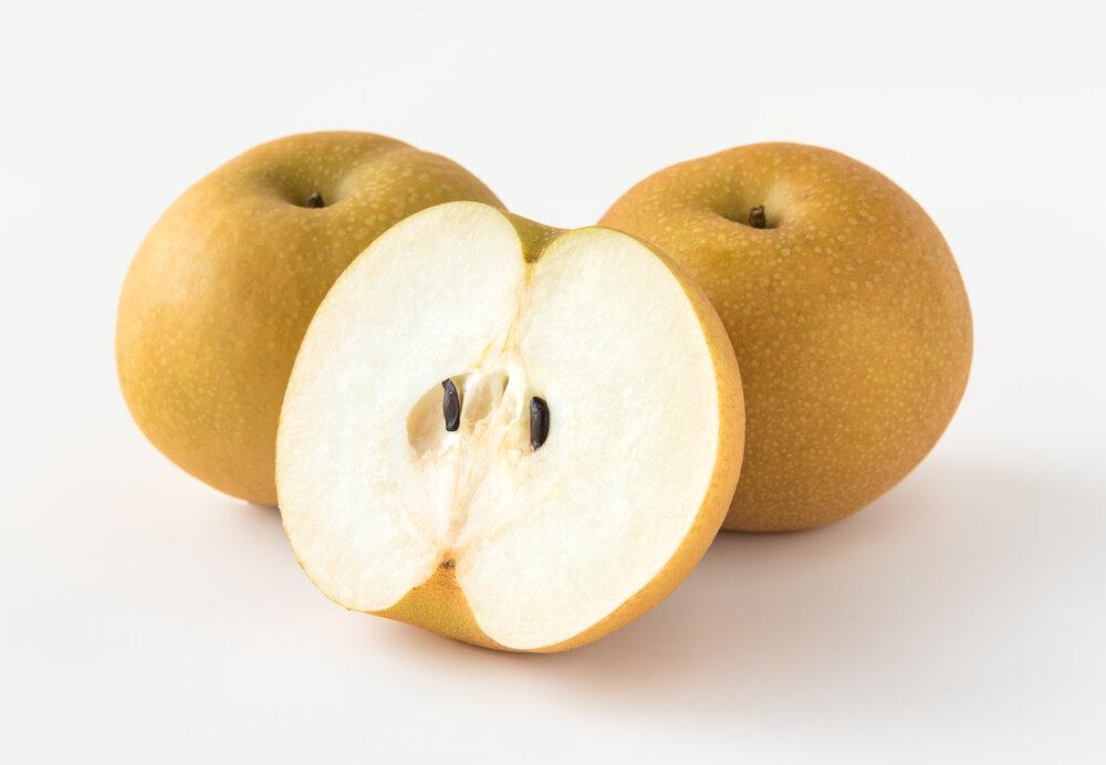 梨 2025年 岡山県産 あたご梨 約900g 1玉 お届け 11月下旬～12月中旬