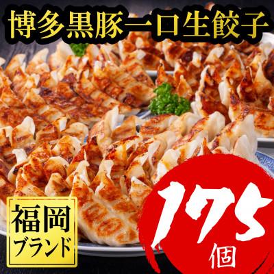 ふるさと納税 福岡市 【175個!!】【福岡ブランド】博多黒豚一口生餃子 7パック小分　(福岡市) SN026