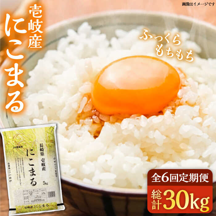 【ふるさと納税】【全6回定期便】壱岐産米 にこまる 5kg 《壱岐市》【壱岐市農業協同組合】 [JBO054] 米 お米 ご飯 ごはん 白米 お弁当 新米 朝食 常温 定期便 96000 96000円