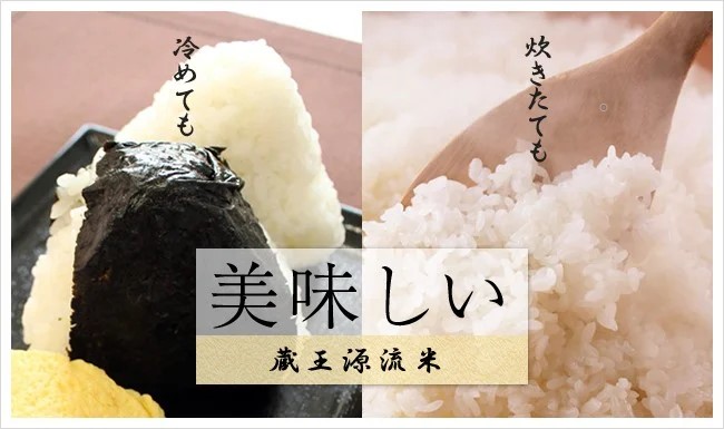 【5か月定期便】＜令和7年産米＞蔵王源流米ひとめぼれ5kg×5回（全25kg）　【04301-0163】