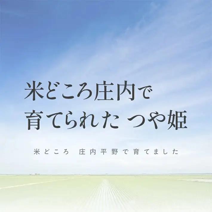  令和9年1月下旬お届け 庄内産特別栽培 つや姫 5kg 令和8年産米 山形県庄内産 ご希望の時期頃にお届け 東北 山形県 遊佐町 庄内地方 米 お米 精米 白米 農協 JA [1658R08M01c