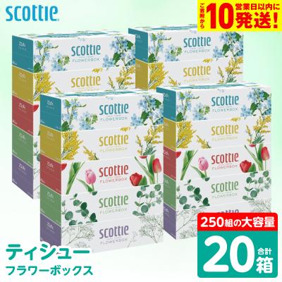 ふるさと納税 八代市 ティッシュ 250組 20箱 フラワーボックス  日用品 スコッティ_186-6426