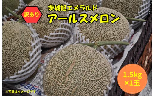 メロン めろん 訳あり 茨城  2026年発送 1玉 1.5kg 果物 くだもの フルーツ 果実 青肉 青肉メロン デザート 1個 アールスメロン あーるすめろん 国産 meron melon 産地直送 農家直送 数量限定 期間限定 旬 ご家庭用 茨城旭エメラルド 茨城県 鉾田市 長洲農園