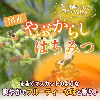 ふるさと納税 盛岡市 藤原国産蜂蜜 やぶからし 160g 完熟 単花蜜 藤原養蜂場 岩手県盛岡市 |  | 01
