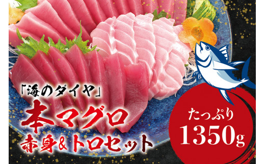 本マグロ（養殖）トロ＆赤身セット 1,350g【1か月以内に発送】／まぐろ 刺身 鮪 本鮪 クロマグロ 赤身 中とろ 大トロ 大容量 まぐろたたき まぐろ丼【nks111】