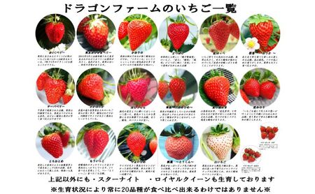 いちご狩り4名用チケット 体験チケット フルーツ狩り 親子 子連れ ファミリー 食べ比べ お出かけ 