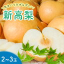 【ふるさと納税】【2024年収穫】森本農園の新高梨2～2.5kg（2～3玉）高知　果物　フルーツ　芳醇　甘い