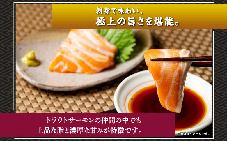 北海桜サーモン 1本活締め 2~3kg 新鮮 刺身 冷蔵 陸上養殖 生食可 桜色 トラウト サーモン 鮭 生鮭 サケ さけ 一本 1匹 一匹 姿 まるごと 国産 北海道産 道産 松前産 産地直送 お取