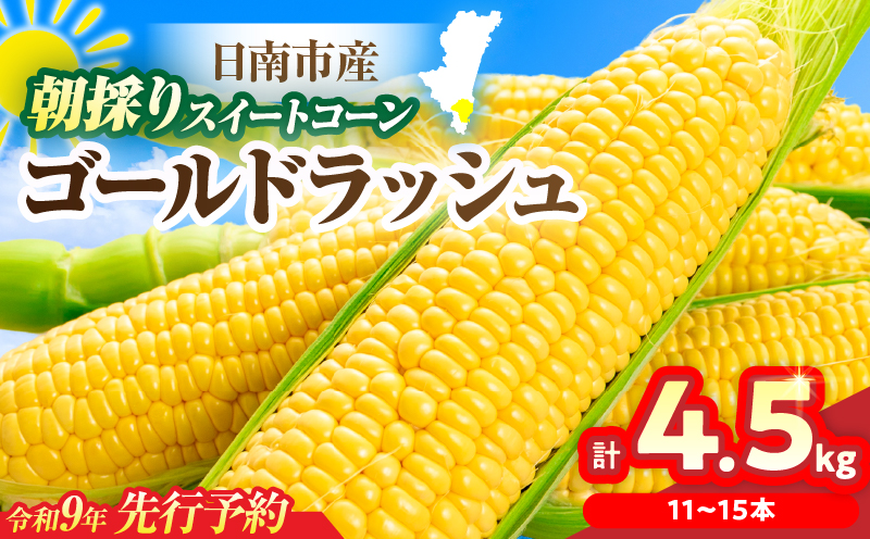 先行予約 スイートコーン ゴールドラッシュ 計4.5kg 国産 食品 野菜 品種 とうもろこし トウモロコシ とうきび 大粒 甘い おやつ 食べ方 簡単 レンジ 保存方法 冷蔵 11～15本 L～3L