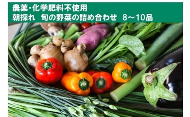 
【栽培期間中農薬・化学肥料不使用】土佐の太陽をいっぱいに浴びた旬の野菜セット「小」
