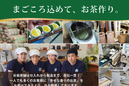 お茶 ティーバッグ 特撰 みやざき煎茶 3袋 セット [谷岩茶舗 宮崎県 日向市 452061642] 