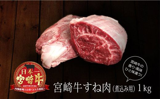 ＜宮崎牛＞牛スネ（煮込み用） 合計1kg（500g×2パック）※90日内に出荷【B228】