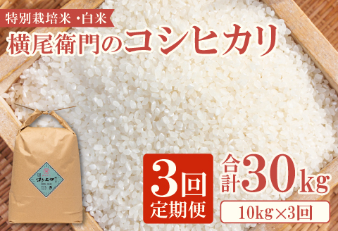 C-1101 【定期便】横尾衛門のコシヒカリ 白米 10kg×3回コース【新米 定期便 定期 3回 米 お米 白米 精米 特別栽培米 低農薬 低化学肥料 ブランド米 コシヒカリ 10kg×3回 合計30kg】