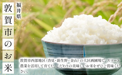 [108-a005]【定期便】≪12ヶ月≫ 令和8年産米 3種食べ比べセット（1kg×3種）