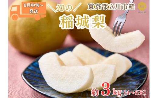 【2026年8月中旬～順次発送】「幻の稲城梨」約3kg