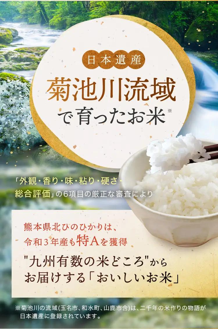 【R8年産】熊本県産 森のくまさん 白米 30kg