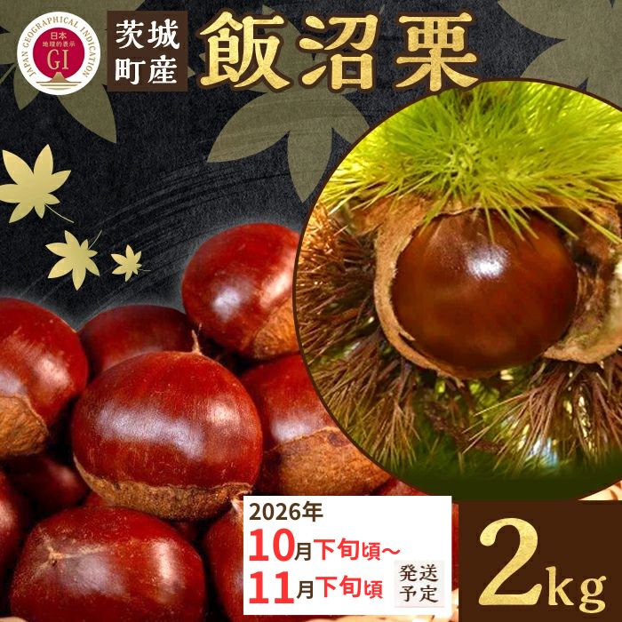 029 飯沼栗 2kg 高級 茨城県 茨城町産 ブランド くり 希少 品種 数量 限定 先行予約 2026年10月下旬～11月下旬頃発送予定