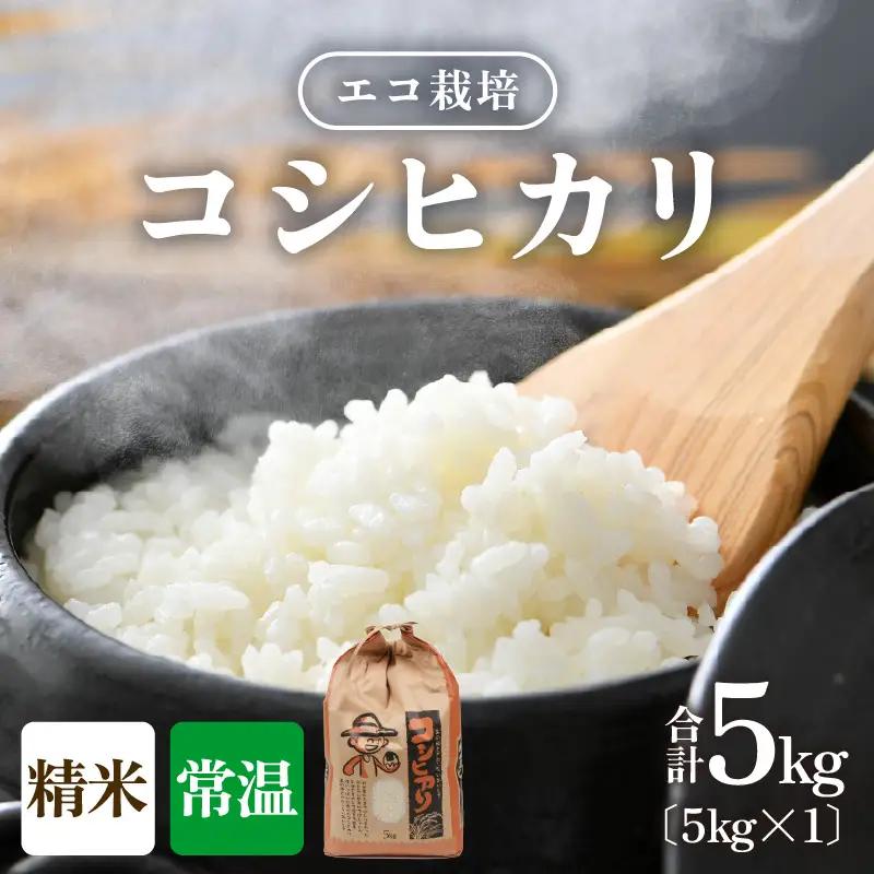 【先行予約】【令和8年産 新米】【一等米】エコ栽培コシヒカリ 白米5kg ／ 鮮度抜群 福井県産 こしひかり ご飯 新鮮 白米 ※2026年10月上旬以降順次発送 [aw063-a030]
