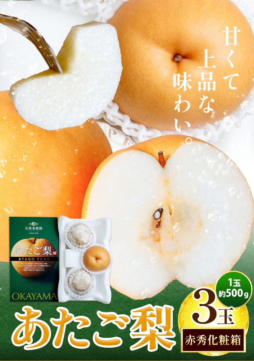 【2026年先行予約】梨 なし ナシ あたご梨 約500g×3玉 化粧箱 赤秀化粧箱 石原果樹園 《2026年11月中旬-12月下旬頃より発送予定》岡山県 浅口市 フルーツ 果物 ギフト 贈り物 国産