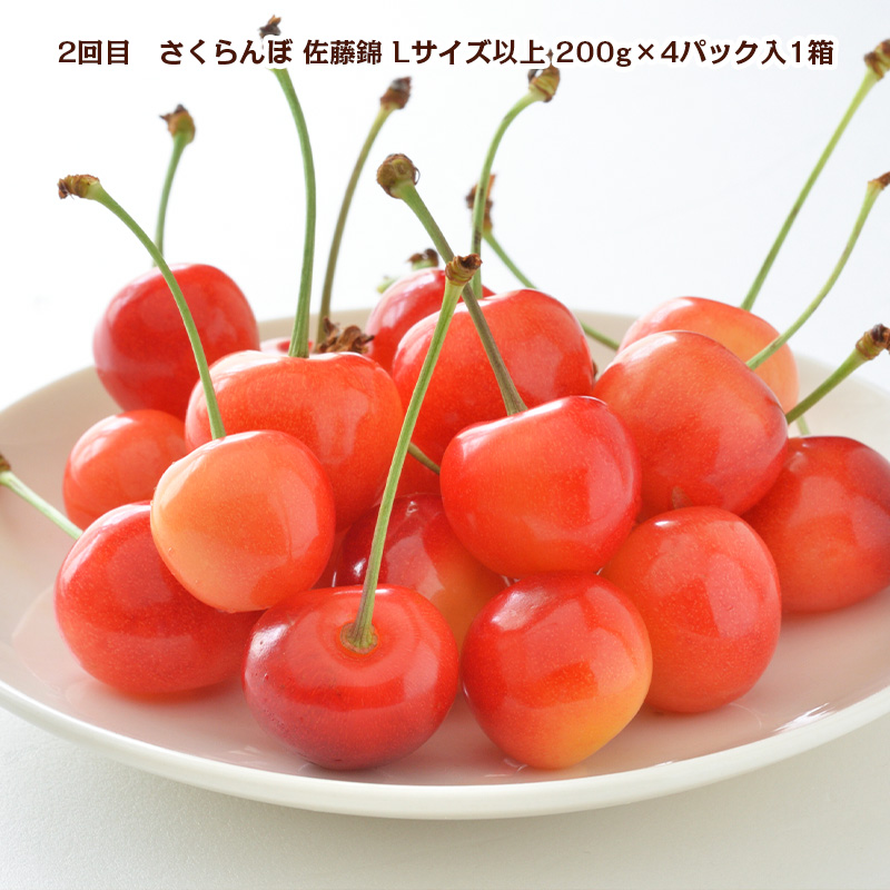 【定期便5回】冬から始まる 山形まるごと！人気の果物ベス
