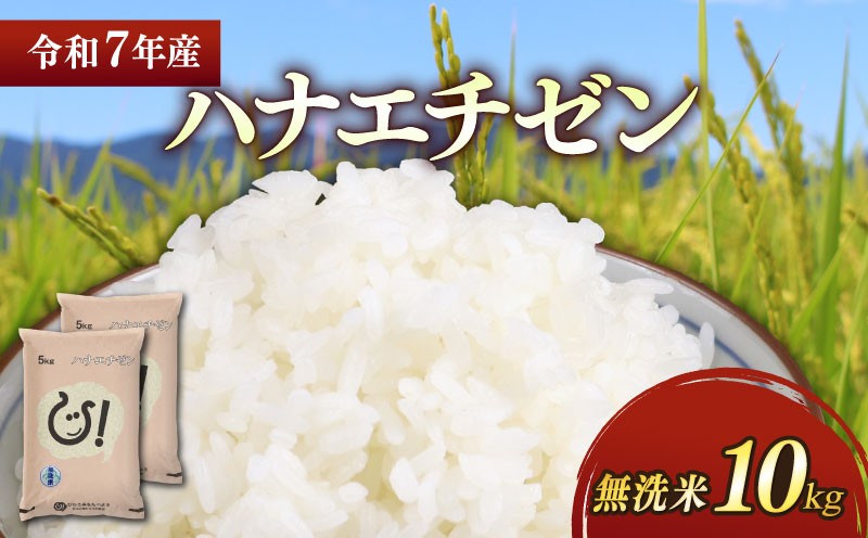 
                  ★無洗米★ 令和7年 彦根産 ハナエチゼン 10kg（5kg×2袋） お米 白米 無洗米 米 こめ コメ おこめ ご飯 ごはん はなえちぜん おすすめ 送料無料 滋賀 彦根 ひこね 
                